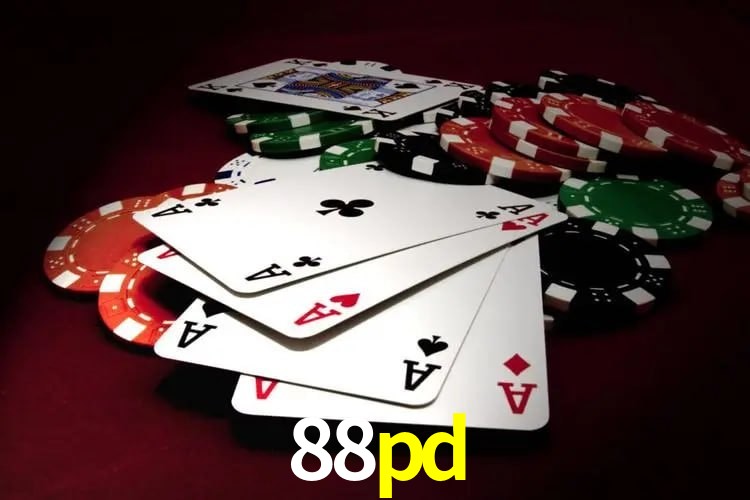 Experiência VIP 88pd